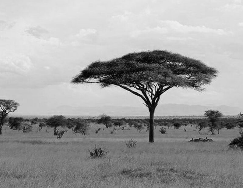Nous vous aidons &agrave; concr&eacute;tiser vos id&eacute;es