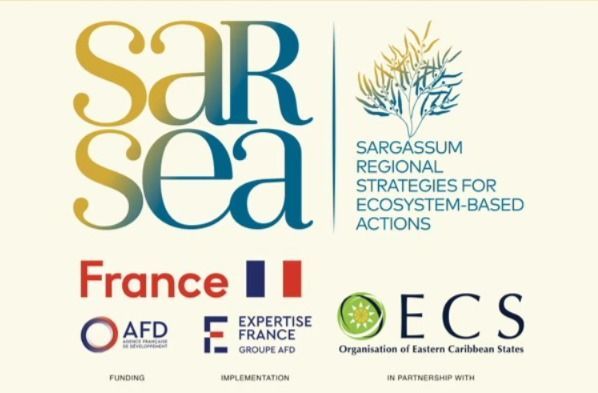 STRAT’EMH et Expertise France (AFD)